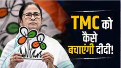 58 MLA,  20 सांसद और 21 पार्षद... चुनावी हार के बाद TMC को कितना हुआ नुकसान? कुनबा बचाने के लिए ममता के पास क्या है प्लान-B?