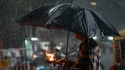 Maharashtra Monsoon Latest Update: Mumbai, Pune, Amravati, Nagpur, Kolhapur, Satara, Sangli, Solapur likely to witness rain, IMD issues alert