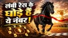 Numerology: मूलांक और भाग्यांक का ये 'कॉम्बिनेशन' बनाता है 'लंबी रेस का घोड़ा'...धीमी शुरुआत, पर रिकॉर्डतोड़ अंत!