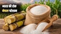 भारत ने रोकी चीनी तो नेपाल में बढ़ गए दाम, जानें अब एक किलो कितने में मिलेगी- त्योहारों से पहले बिगड़ा बजट