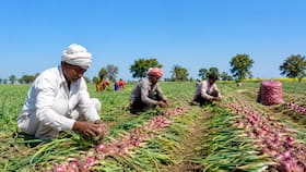 india.com top news
