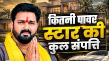 सोना, जमीन और लग्जरी कारें... पवन सिंह के पास कितनी संपत्ति? चुनावी हलफनामे में भोजपुरी स्टार ने खोले सारे राज