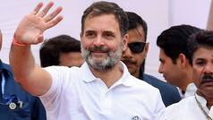 Rahul Gandhi: Political and personal life of Leader of Opposition explained in conciseness on his birthday