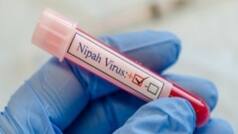 Tamil Nadu beefs up border security in Nilgiris amidst Nipah virus threat in Kerala