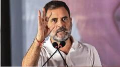 Rahul Gandhi targets PM Modi over his video, says students don't need his apology, but rather...