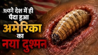 india.com top news