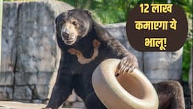 india.com top news
