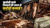 बकरीद पर कुर्बान किए लाखों जानवरों की खाल का क्या करते हैं मुसलमान, किसी ने नहीं बताई होगी आपको ये बात