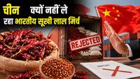 पहले चावल, अब मिर्च! चीन ने भारत को क्यों दिया झटका? क्यों ठुकराई भारतीय लाल मिर्च