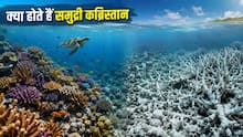 भयानक सच- भारत के समुद्रों के नीचे फैल रहा 'समुद्री कब्रिस्तान', क्या हमारी आंखों के सामने खत्म हो रहा है समुद्र ?