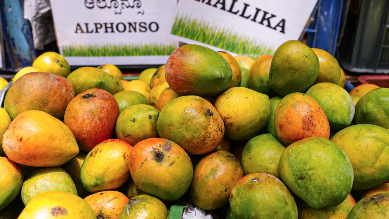 BANNED: After Japan, this country also bans Indian mangoes – here's why