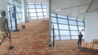 सिक्योरिटी को चकमा देकर एयरपोर्ट में घुस गया बंदर, वायरल हुआ T3 बोर्डिंग एरिया का वीडियो