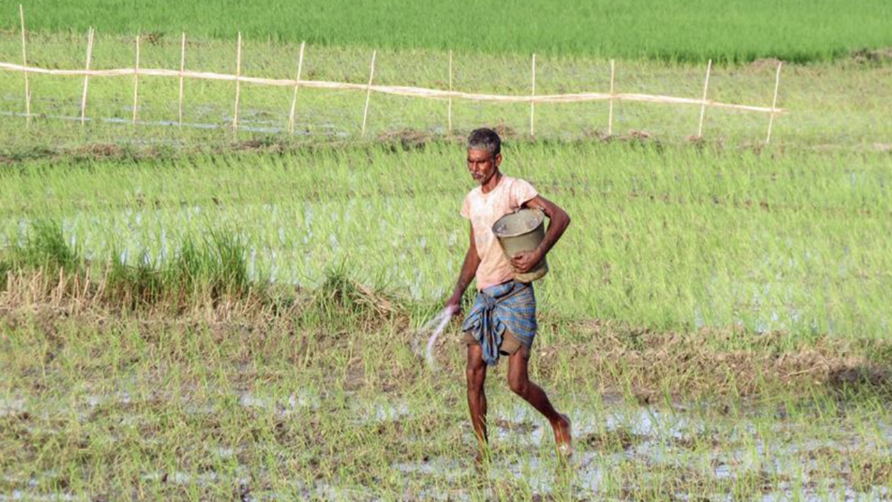 Monsoon delayed? When will the rainy season reach Delhi, Noida, Gurugram? IMD says monsoon yet to reach central India