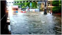 Mumbai Rains: Waterlogging, traffic chaos persist, are schools closed today as IMD issues orange alert for Thane and Palghar?