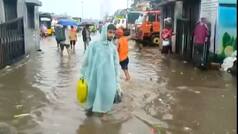 Mumbai rain havoc: Potholes, waterlogging bring city to halt, are schools, colleges open today? Check IMD forecast for Thane, Palghar, Navi Mumbai