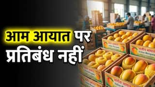भारतीय आमों पर बैन नहीं! नेपाल ने अफवाहों पर तोड़ी चुप्पी, जानिए सफाई में क्या कहा?