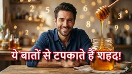 india.com top news