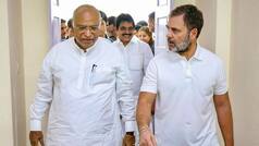 खड़गे और खेड़ा को कर्नाटक और मीनाक्षी को MP से दिया टिकट, राज्यसभा चुनाव के लिए कांग्रेस ने किन चेहरों पर लगाया दांव?