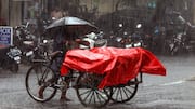 Tamil Nadu Rain Alert Today: Heavy rain, thunderstorms and gusty winds likely in Theni, Kanyakumari, Tirunelveli; Check weather forecast till June 15