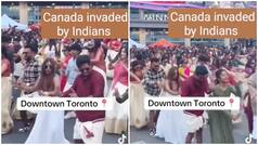'Canada has become an Indian colony': Toronto streets overrun by viral dance video, triggering massive backlash on social media | WATCH