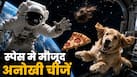 पिज्जा, कुत्ता, हड्डियों के राख और कार... स्पेस में भेजी जा चुकी हैं ये चीजें, पांचवें नंबर  का भारत से खास कनेक्शन
