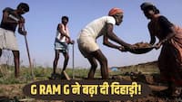 G-RAM-G योजना:  इन राज्यों के मजदूरों को मिलेगी मनरेगा से ज्यादा पगार,  जान लीजिए सबसे कम कहां होगी कमाई