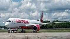 Pilot of turbulence-hit Air India flight likely to have failed dope test: Sources