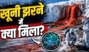'बर्फ के नीचे जिंदा है एक पूरी कॉलोनी...' अंटार्कटिका के खूनी झरने के नीचे क्या मिला? वैज्ञानिकों ने नए शोध में किया बड़ा खुलासा