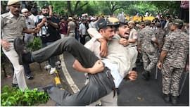 'यह पब्लिसिटी के लिए कैसे? प्रदर्शनकारियों पर पुलिस की बर्बरता मामले में दिल्ली हाईकोर्ट ने केंद्र से मांगा जवाब