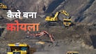 क्रूड ऑयल तो जान ही गए हैं, अब जानें- जमीन के भीतर कहां से आता है कोयला