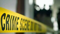 Exclusive Video | Woman driving car runs over five children in Greater Noida's Panchsheel Greens II Society, one critical
