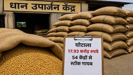 कागजों में भरा था गोदाम, जांच हुई तो निकला खाली... 17.93 करोड़ के धान घोटाले से हड़कंप