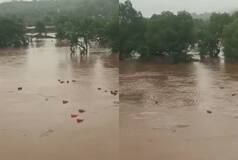 3000 LPG cylinders swept away into Patalganga river in Raigad after HPCL plant wall collapses; Watch viral video