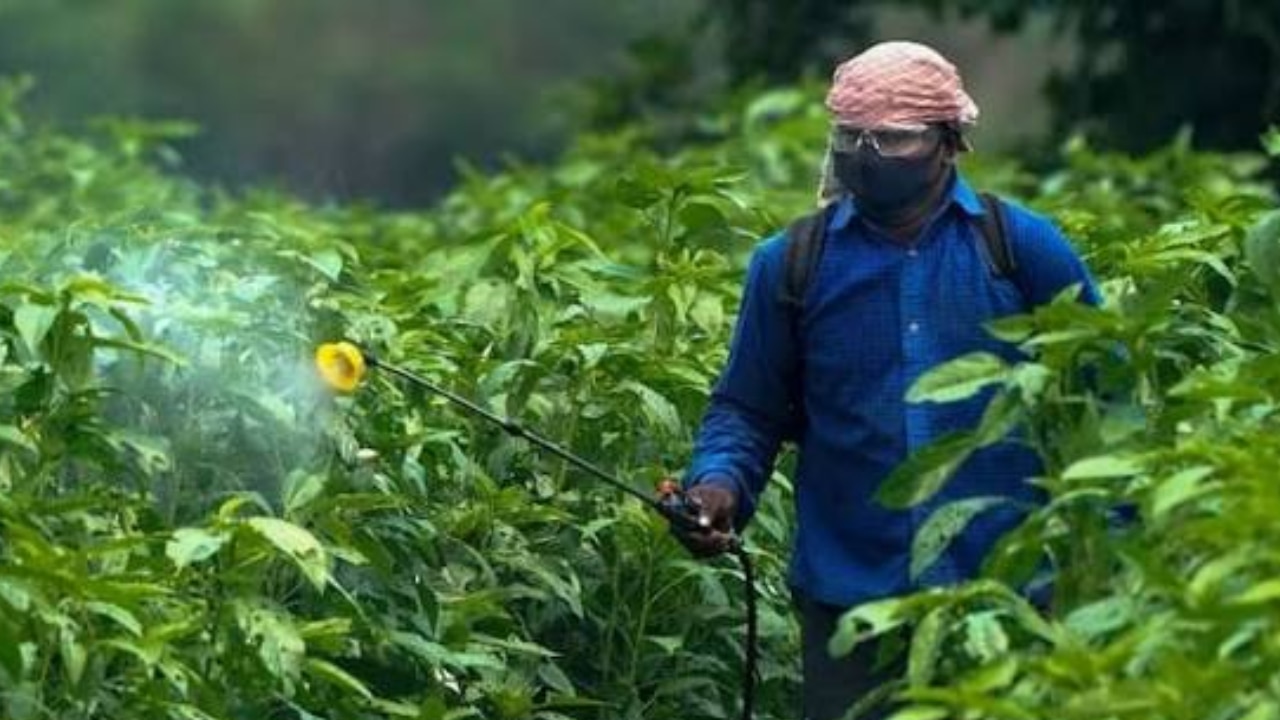 India bans biggest agricultural poison – Why Paraquat is called one of world’s deadliest herbicides?
