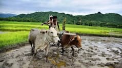 PM-KISAN scheme gets five-year extension with massive Rs 3.15 lakh crore funding