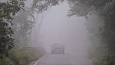 Mumbai Weather Update: Thane, Mumbai, Sindhudurg, Palgarh, Dhule, Nandurbar, Jalgaon likely to witness rain today, IMD says...