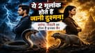 Numerology: इन 2 मूलांकों में होता 'सांप और नेवले' का बैर! साथ आए तो समझो शुरू हुआ क्लेश!