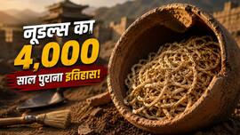 चीन में मिले 4,000 साल पुराने नूडल्स, सबसे पसंदीदा डिश को लेकर हुआ बड़ा खुलासा!
