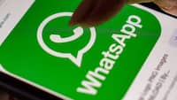 Is your WhatsApp working? Meta app puts multiple accounts in India under review, blocks access for 24 hours