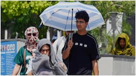 Delhi Weather: Capital city sweats as heat, humidity intensify, monsoon rain expected from… - Check IMD forecast for Noida, Gurugram, Ghaziabad