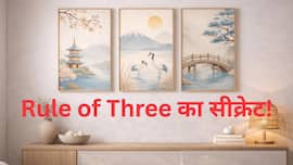 Feng Shui Rule of Three: फेंगशुई का वायरल सीक्रेट! 3 चीजों में छिपा है घर का बैलेंस