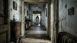 Creepiest Job? Japan is paying people to spend a night in haunted house for Rs 31000; Heres why