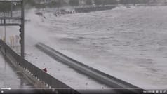 Mumbai Rains: WATCH high tide hits Marine Drive amid Red alert - Check IMD forecast for Palghar, Thane, Raigad