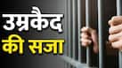 उम्रकैद में कितने साल की मिलती है सजा? जानिए क्या कहता है भारत का कानून उम्रकैद में कितने साल की मिलती है सजा? जानिए क्या कहता है भारत का कानून