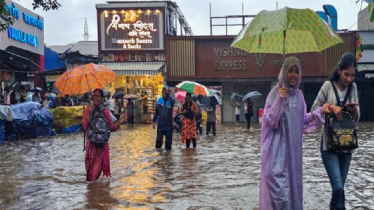 Maharashtra rain havoc Highlights: IMD issues heavy rain alert, schools closed in Thane, Kalyan-Dombivli, Red alert in Mumbai