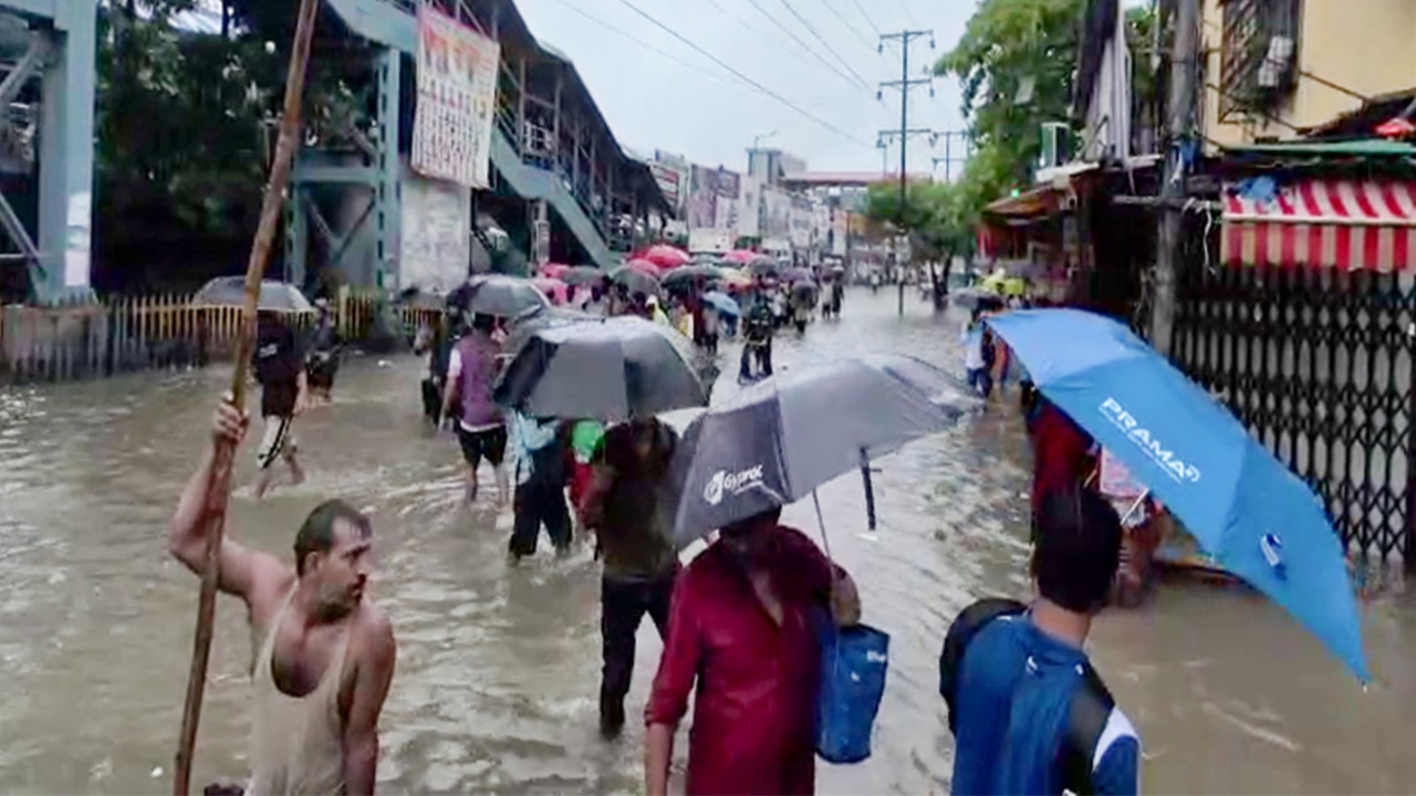 Maharashtra Rain Highlights: IMD issues heavy rain alert, are schools, offices closed today? Check Mumbai, Thane, Pune, Nagpur forecasts here