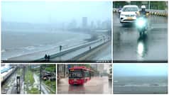 Maharashtra Rain Highlights: IMD issues Red alert for Central Maharashtra, ex-deputy mayor’s son dies after coconut tree falls in Thane