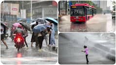 Maharashtra Weather: Will it rain or will hot, humid conditions prevail? Check IMD forecast for Mumbai, Thane, Pune, Nagpur, Palghar