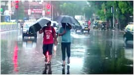 Mumbai Weather July 13: Will rains return or will the city swelter? Check IMD forecast for Thane, Palghar, Raigad