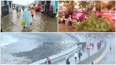 Mumbai rain havoc: Severe waterlogging, fallen trees, potholes bring maximum city to halt, will schools be closed today? – Check weather forecast